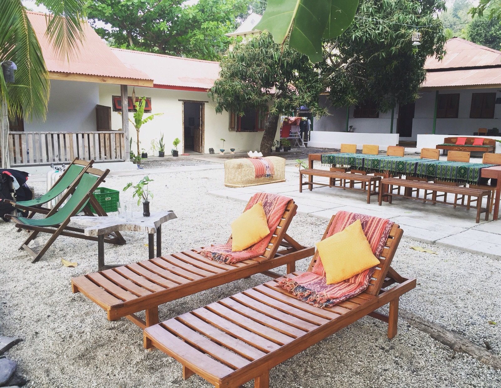 The Nutmeg tree Banda neira Indonesië Merapi Tour